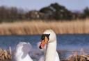 Jump to it and visit Newport Wetlands National Nature Reserve