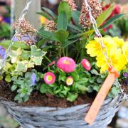 April's business of the month - The Secret Garden, Mamhilad