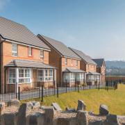 Fast Move To a Spacious New Home at Popular Foxglove Meadows